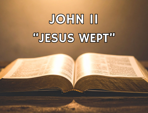 Sunday Reflection: Jesus Wept